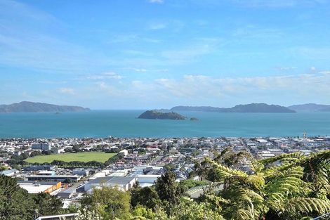 Photo of property in 3 Chestnut Grove, Maungaraki, Lower Hutt, 5010