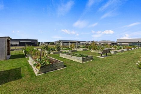 Photo of property in 3 Crest Way, Papamoa, 3118