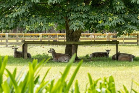 Photo of property in 1320 Pakowhai Road, Frimley, Hastings, 4120