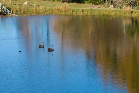 Photo of property in 142 Aporo Road, Tasman, Upper Moutere, 7173