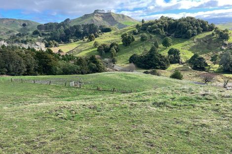 Photo of property in 38 Ruhi Road, Ormondville, Dannevirke, 4977