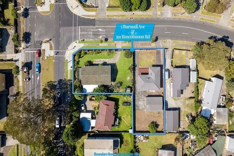 Photo of property in 391 Roscommon Road, Clendon Park, Auckland, 2103