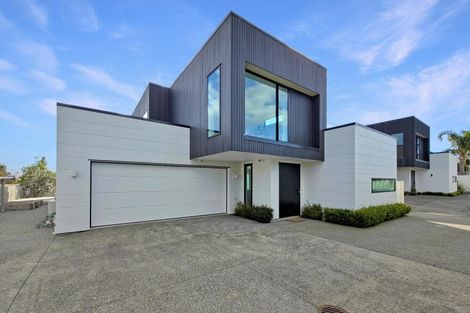 Photo of property in 4b Chambers Street, Havelock North, 4130