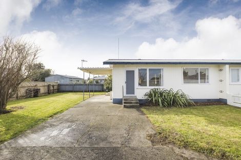 Photo of property in 1/145 College Street, Awapuni, Palmerston North, 4412