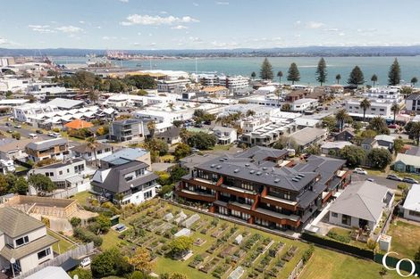 Photo of property in 3/29 May Street, Mount Maunganui, 3116