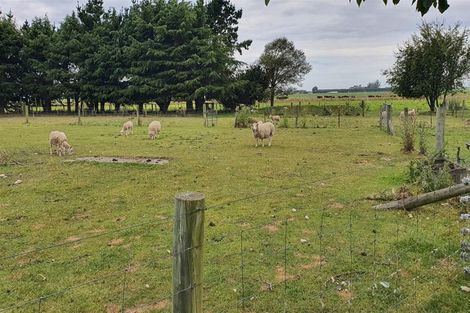 Photo of property in 239 Old Ferry Road, Morven, Waimate, 7979
