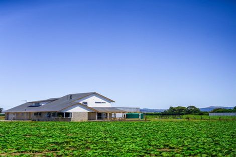 Photo of property in 375 Matawai Road, Waerengaahika, Gisborne, 4071