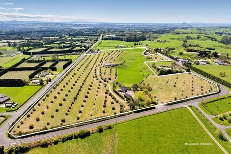 Photo of property in 390 Hereford Road, Oropi, Tauranga, 3173