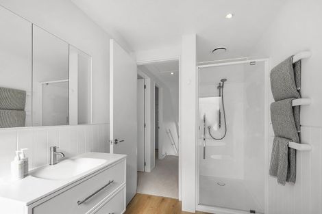 Photo of property in Vein & Skin, 38a Roxburgh Street, Mount Victoria, Wellington, 6011