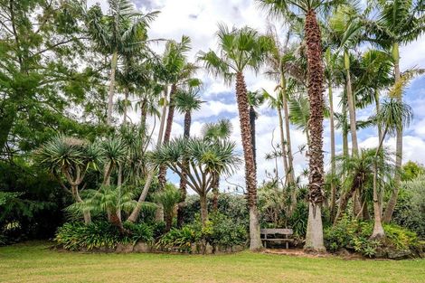 Photo of property in 6 Kendall Road, Kerikeri, 0230