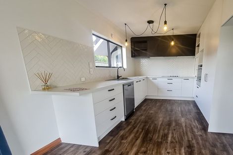 Photo of property in 417a Ruahine Street, Terrace End, Palmerston North, 4410