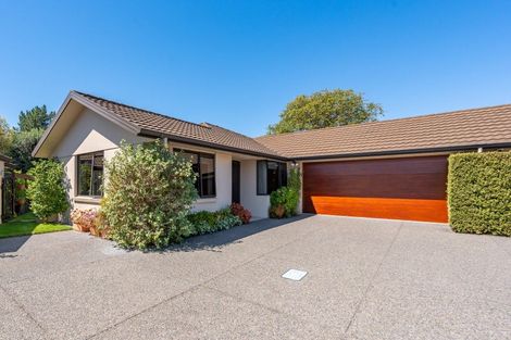 Photo of property in 5/31 Te Aute Road, Havelock North, 4130