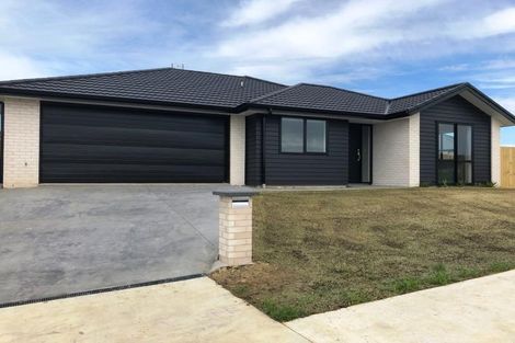 Photo of property in 34 Ladeira Place, Fitzroy, Hamilton, 3206