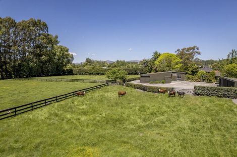 Photo of property in 245 Prestons Road, Marshland, Christchurch, 8051