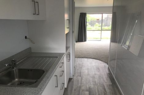 Photo of property in 21 Albert Street, Hamilton East, Hamilton, 3216