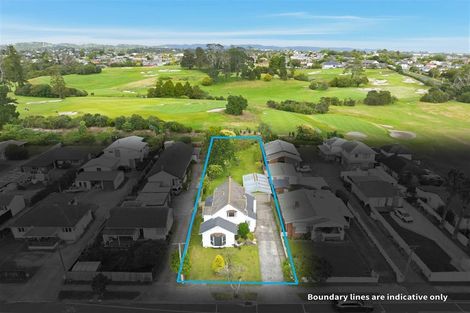 Photo of property in 125 Portage Road, New Lynn, Auckland, 0600