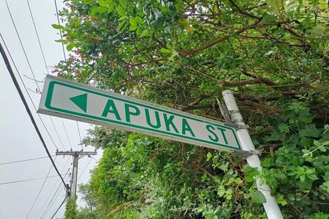 Photo of property in 54 Apuka Street, Brooklyn, Wellington, 6021