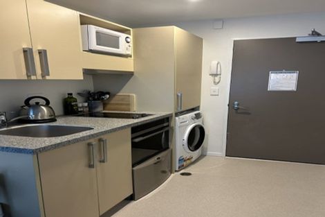 Photo of property in Dual Apartments, 108/142 Vivian Street, Te Aro, Wellington, 6011