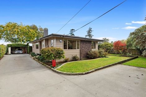 Photo of property in 13 Shelley Street, Leamington, Cambridge, 3432