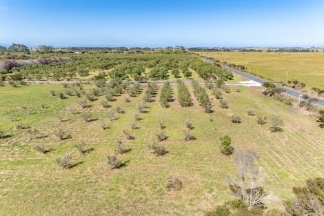 Photo of property in 1426a Inland Road, Karikari Peninsula, 0483