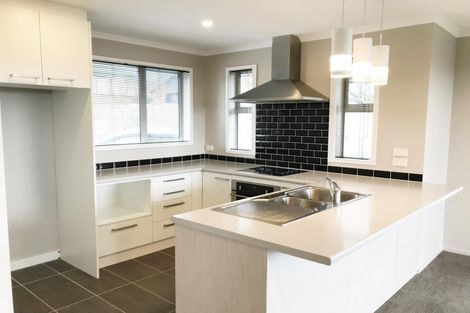 Photo of property in 9 Mcneish Place, Pokeno, 2402