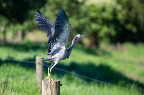 Photo of property in 81b Mcmillan Road, Tahawai, Katikati, 3170