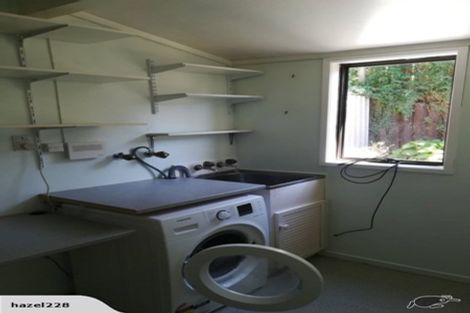 Photo of property in 44 Hazelwood Avenue, Dinsdale, Hamilton, 3204