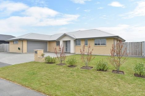 Photo of property in 5 Denton Street, Amberley, 7410