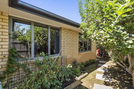 Photo of property in 22a Beatty Street, Melville, Hamilton, 3206