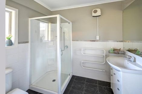 Photo of property in 45 Leven Street, Roslyn, Dunedin, 9010