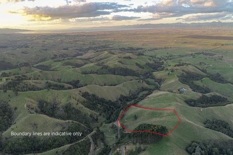 Photo of property in 169 Torehape Road, Kaihere, Ngatea, 3597