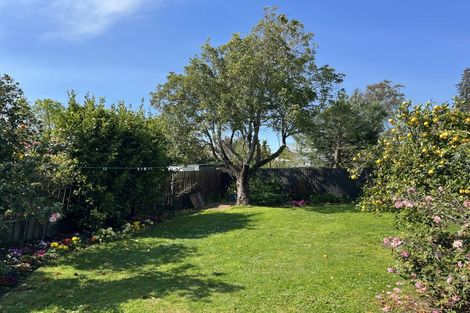 Photo of property in 16 Argosy Place, Blenheim, 7201