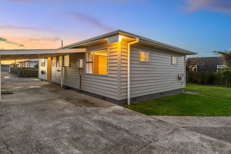 Photo of property in 52a Winchester Street, Levin, 5510