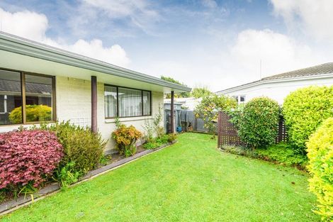 Photo of property in 4 Mcarthur Street, Terrace End, Palmerston North, 4410
