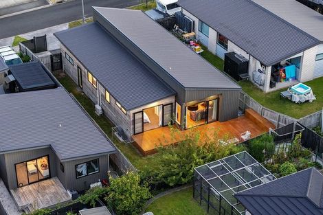 Photo of property in 17 Patrick Rice Drive, Swanson, Auckland, 0614