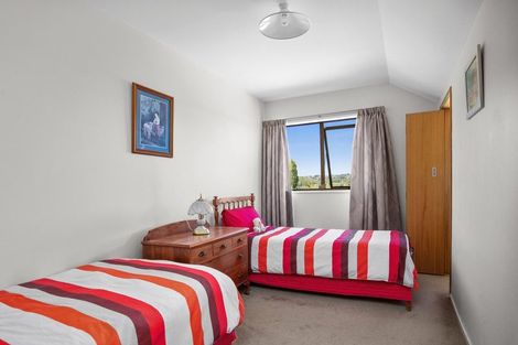 Photo of property in 46 Eureka Road, Earnscleugh, Alexandra, 9391