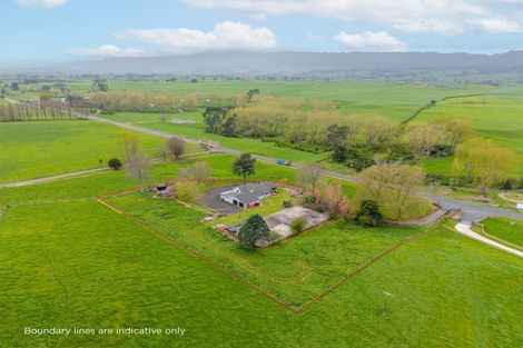Photo of property in 288 Te Poi Road South, Te Poi, Matamata, 3473