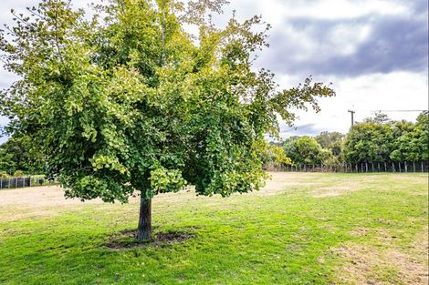 Photo of property in 26 Budge Street, Fordell, 4572