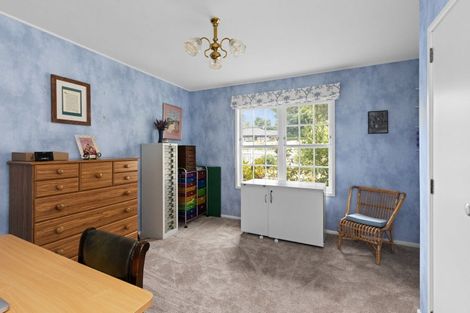 Photo of property in 3 Chestnut Court, Havelock North, 4130