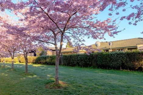 Photo of property in 138a Masters Avenue, Silverdale, Hamilton, 3216