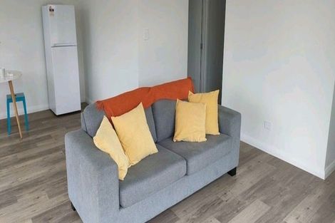 Photo of property in 3 Fruiter Lane, Coatesville, Albany, 0793