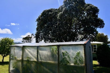 Photo of property in 3820 Karamea Highway, Little Wanganui, Karamea, 7893