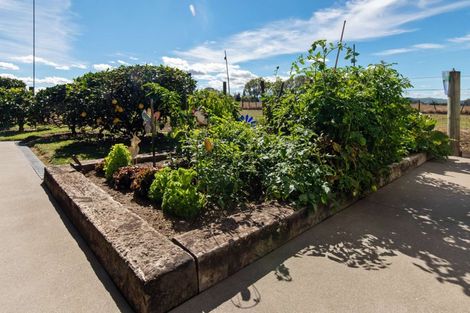 Photo of property in 6 Ihimaera Terrace, Leamington, Cambridge, 3432