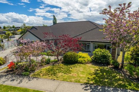 Photo of property in 8 Park Drive, Richmond, 7020