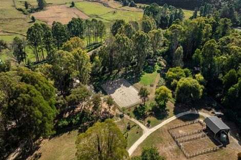 Photo of property in 217 Harvey Road, Marahau, Motueka, 7197