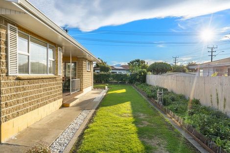 Photo of property in 207 Scott Street, Redwoodtown, Blenheim, 7201