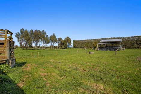 Photo of property in 424 East Bank Road, Edgecumbe, Whakatane, 3193