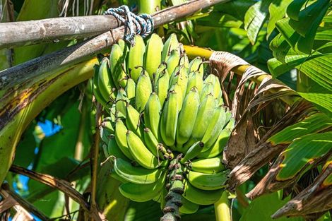 Photo of property in 2640 South Head Road, South Head, Helensville, 0874