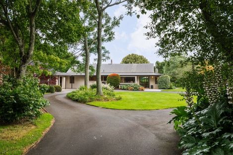 Photo of property in 803d Bruntwood Road, Tamahere, Hamilton, 3283