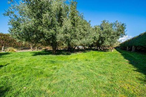 Photo of property in 140 Main Road, Pleasant Point, 7903